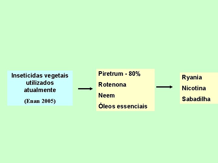 Inseticidas vegetais utilizados atualmente (Enan 2005) Piretrum - 80% Rotenona Neem Óleos essenciais Ryania