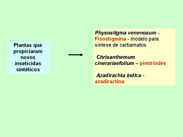 Plantas que propiciaram novos inseticidas sintéticos Physostigma venenosum Fisostigmina - modelo para síntese de