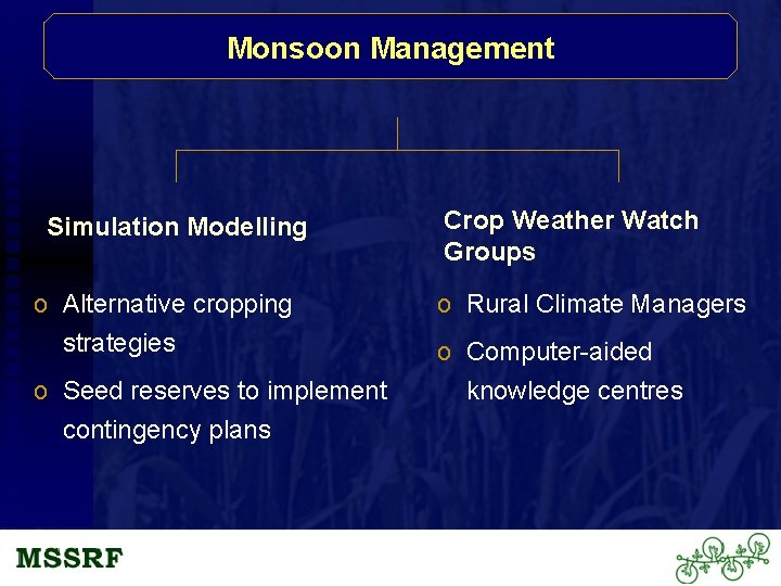Monsoon Management Simulation Modelling o Alternative cropping strategies o Seed reserves to implement contingency