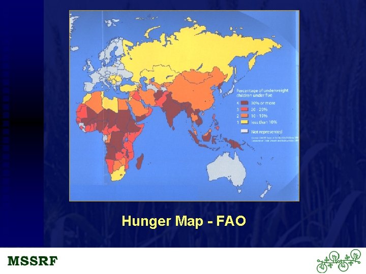 Hunger Map - FAO 
