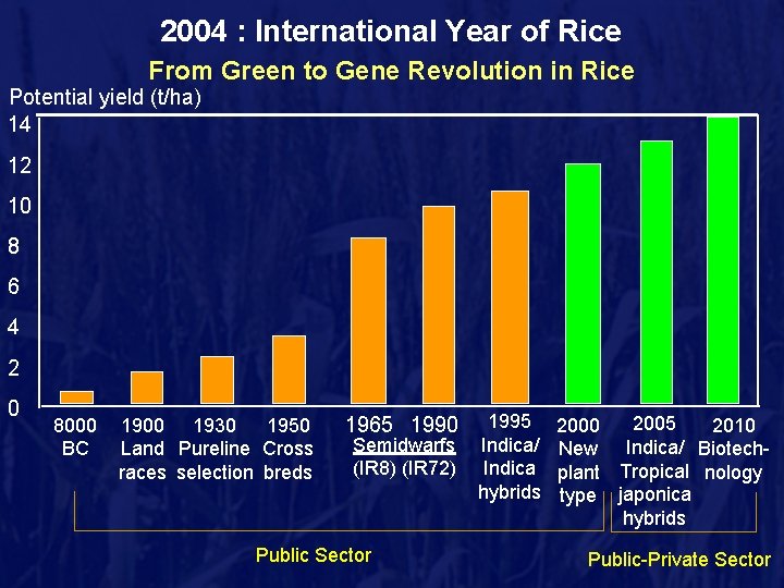 2004 : International Year of Rice From Green to Gene Revolution in Rice Potential