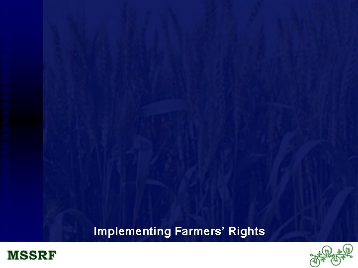 Implementing Farmers’ Rights 