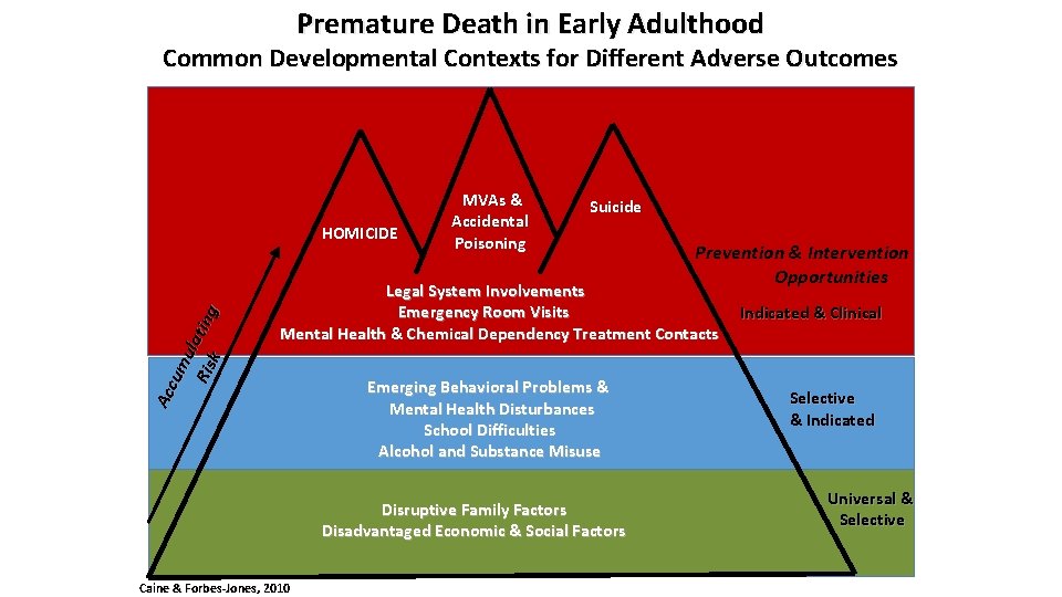 Premature Death in Early Adulthood Common Developmental Contexts for Different Adverse Outcomes Acc um