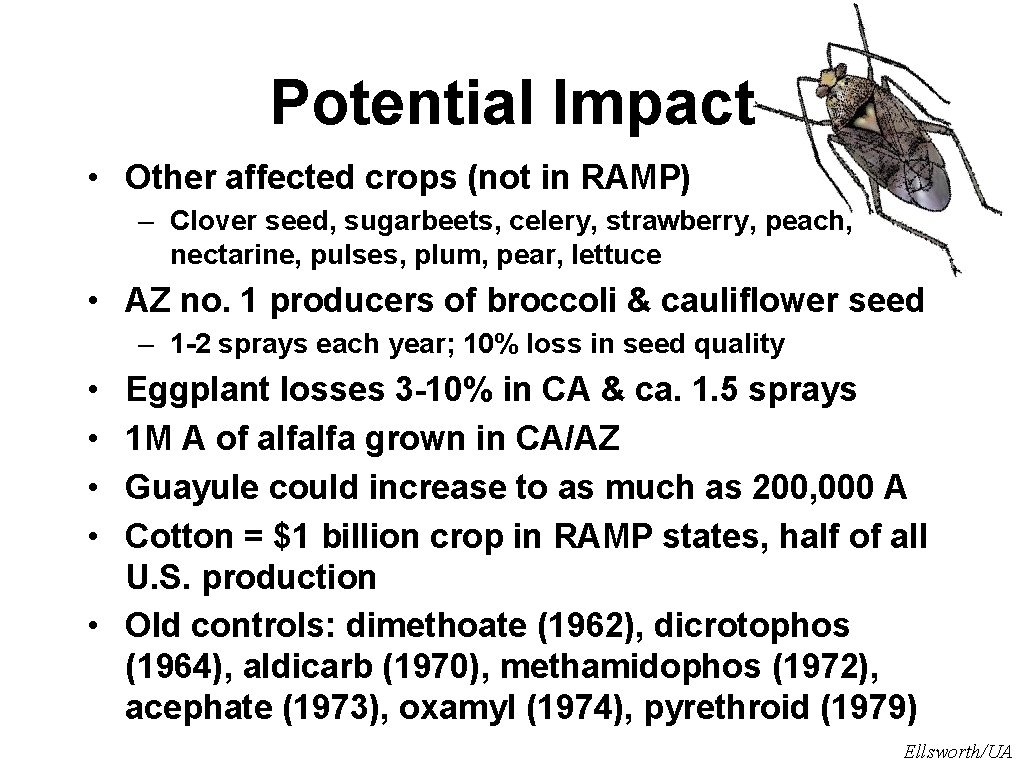 Potential Impact • Other affected crops (not in RAMP) – Clover seed, sugarbeets, celery,