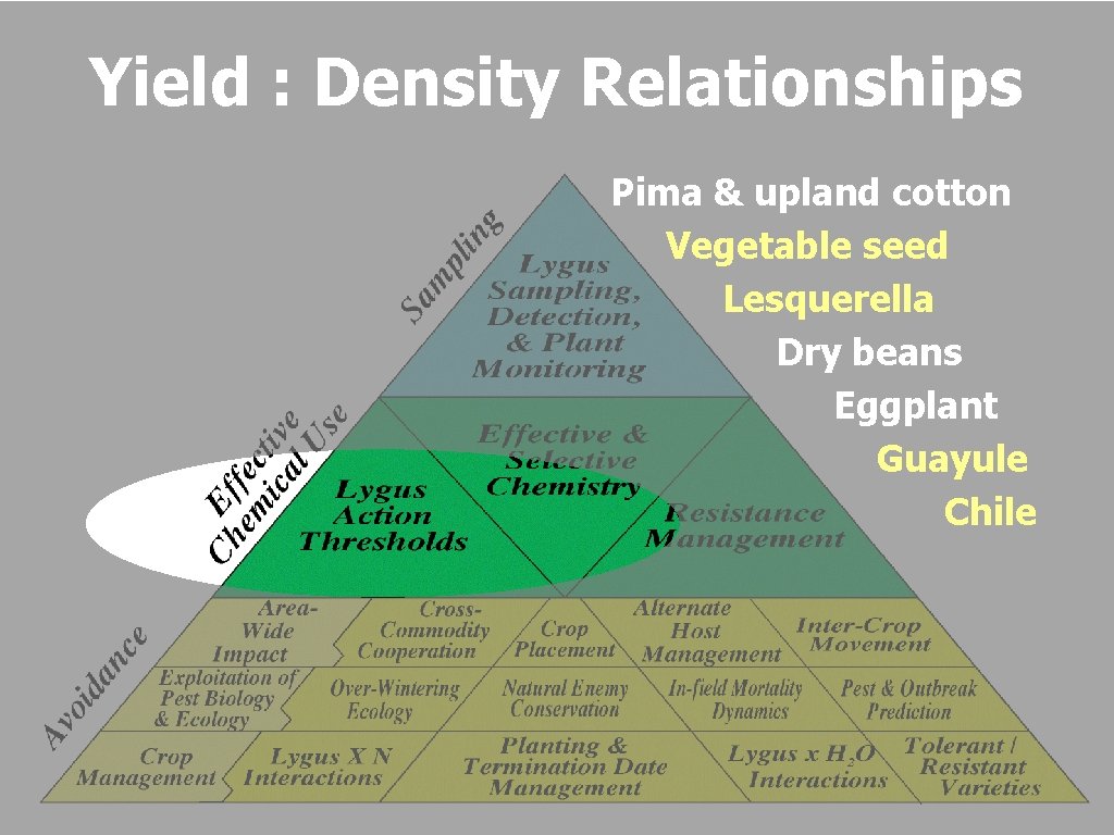 Yield : Density Relationships Pima & upland cotton Vegetable seed Lesquerella Dry beans Eggplant