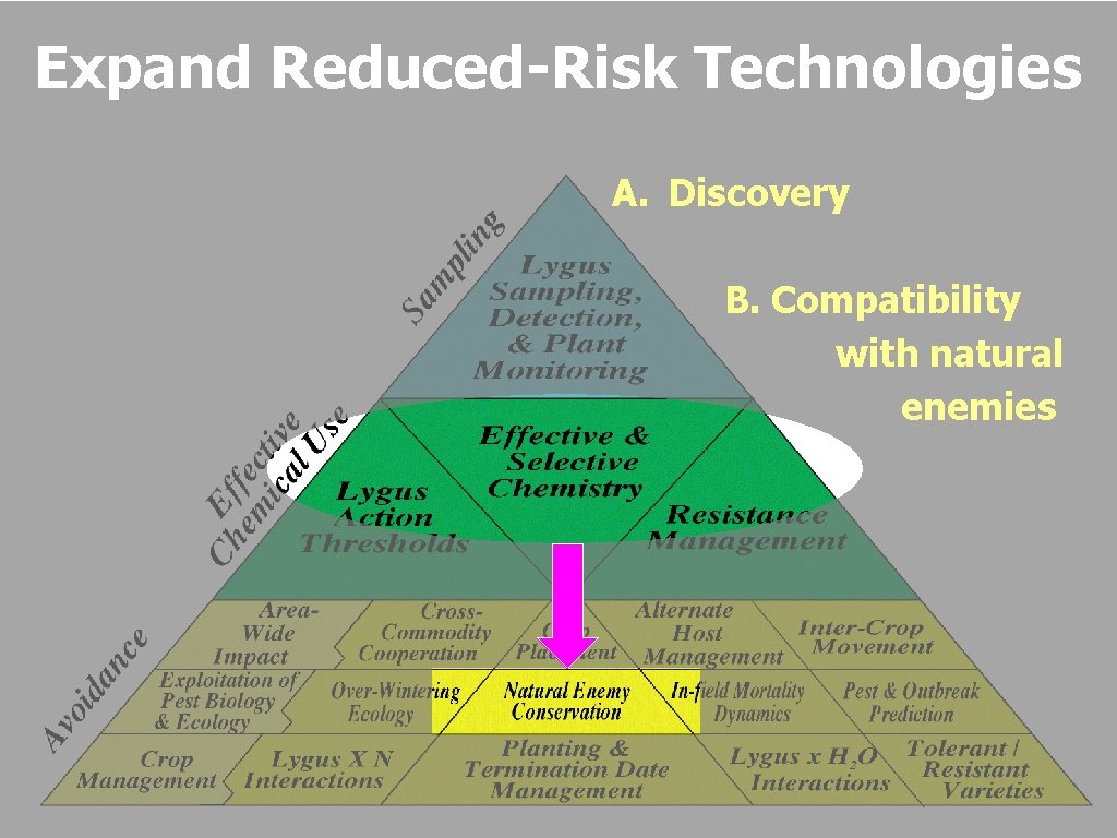 Expand Reduced-Risk Technologies A. Discovery B. Compatibility with natural enemies Ellsworth/UA 