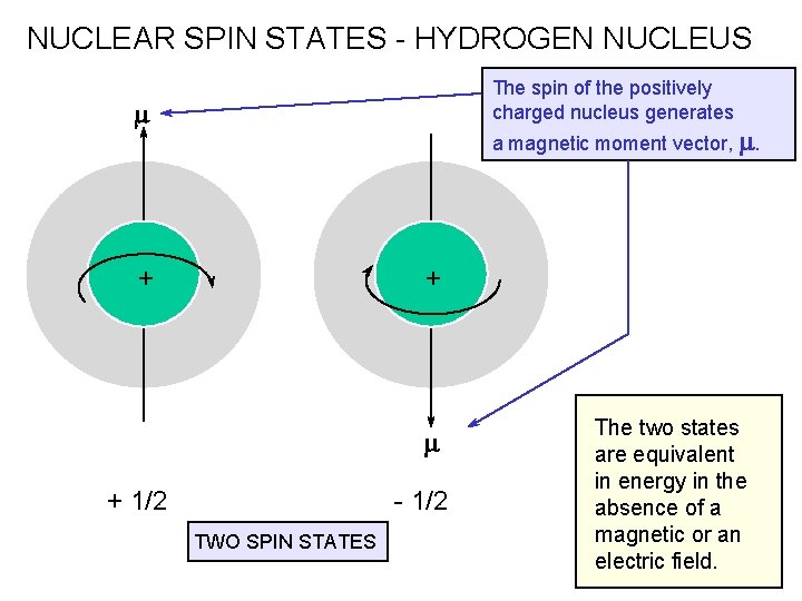 NUCLEAR SPIN STATES - HYDROGEN NUCLEUS The spin of the positively charged nucleus generates