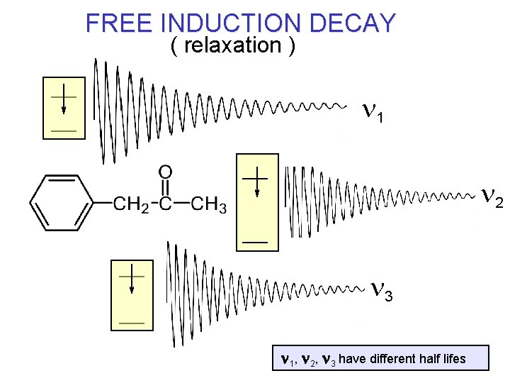 FREE INDUCTION DECAY ( relaxation ) n 1 n 2 n 3 n 1,