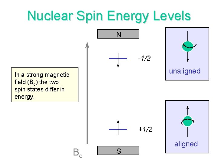 Nuclear Spin Energy Levels N -1/2 unaligned In a strong magnetic field (Bo) the