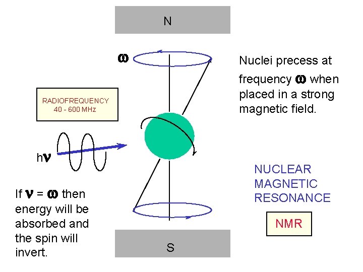 N w Nuclei precess at frequency w when placed in a strong magnetic field.