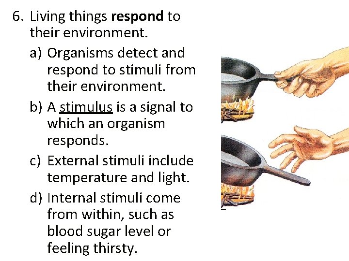 6. Living things respond to their environment. a) Organisms detect and respond to stimuli