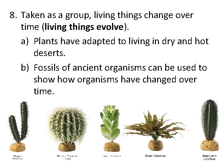 8. Taken as a group, living things change over time (living things evolve). a)