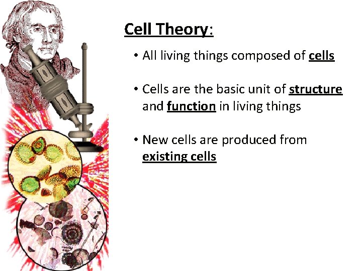 Cell Theory: • All living things composed of cells • Cells are the basic