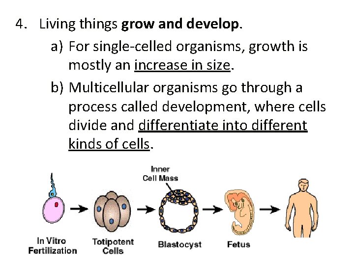 4. Living things grow and develop. a) For single-celled organisms, growth is mostly an