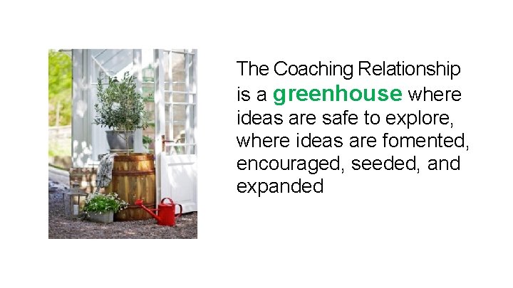 The Coaching Relationship is a greenhouse where ideas are safe to explore, where ideas