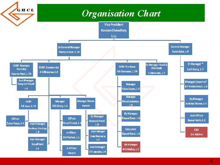 Organisation Chart 5 