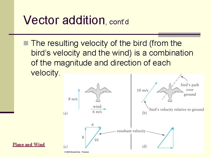 Vector addition, cont’d n The resulting velocity of the bird (from the bird’s velocity