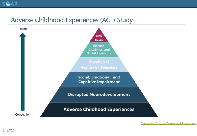 Human Trafficking Training Adverse Childhood Experiences (ACE) Study Death Conception Centers for Disease Control