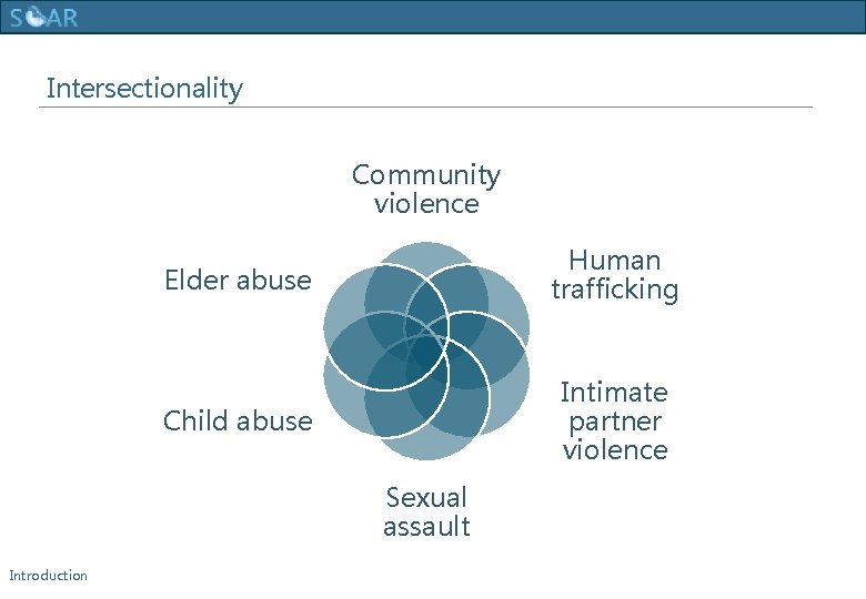 Human Trafficking Training Intersectionality Community violence Elder abuse Human trafficking Child abuse Intimate partner