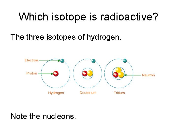 Which isotope is radioactive? The three isotopes of hydrogen. Note the nucleons. 