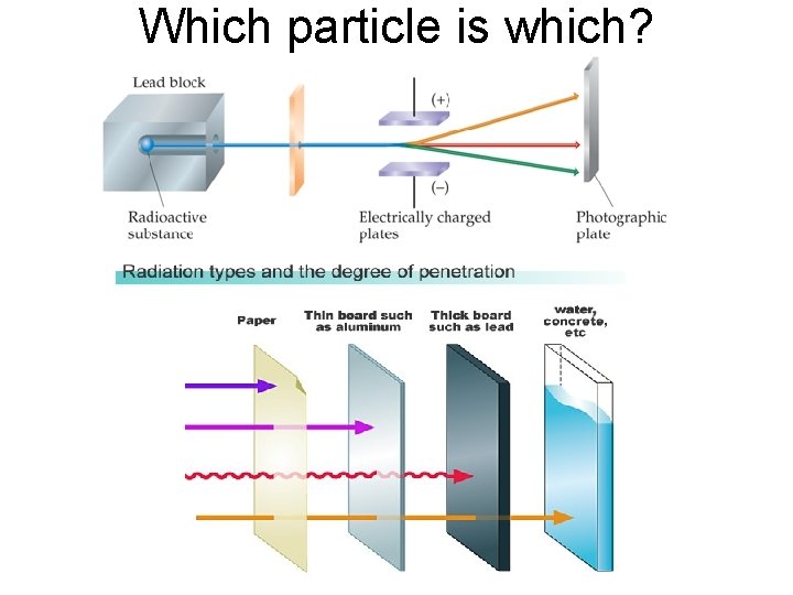 Which particle is which? 