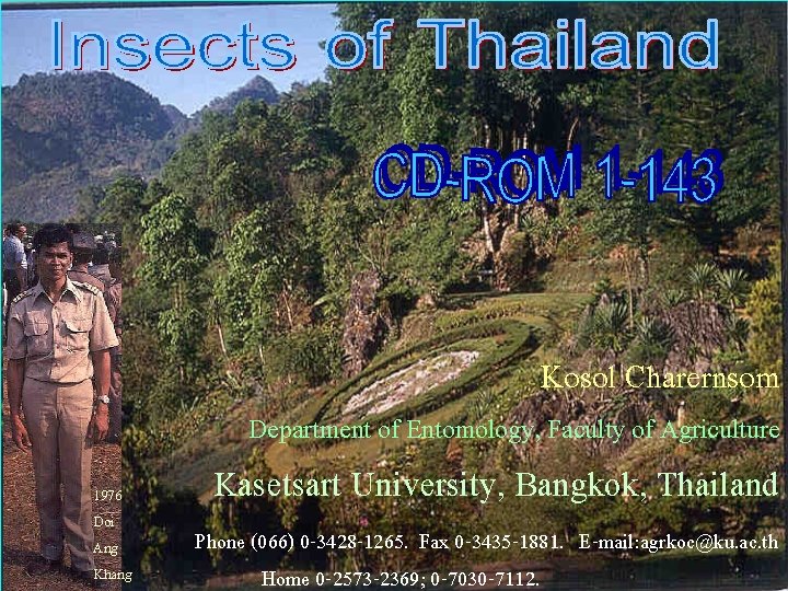 Kosol Charernsom Department of Entomology, Faculty of Agriculture 1976 Doi Ang Khang Kasetsart University,