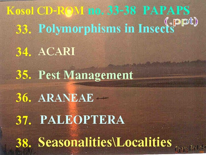 Kosol CD-ROM no. 33 -38 PAPAPS 33. 34. 35. 36. 37. 38. Polymorphisms in