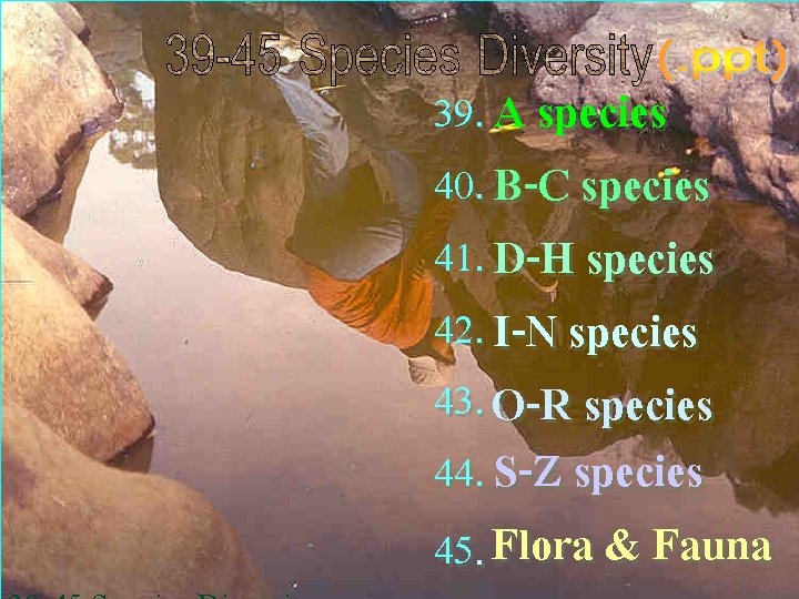 39. A species 40. B-C species 41. D-H species 42. I-N species 43. O-R