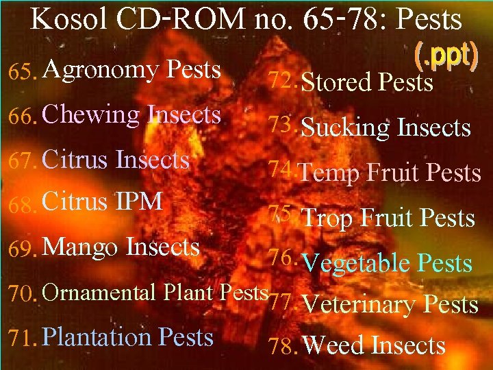 Kosol CD-ROM no. 65 -78: Pests 65. Agronomy Pests 72. Stored Pests 66. Chewing