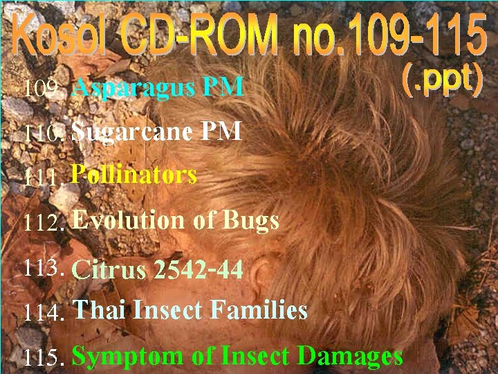 109. Asparagus PM 110. Sugarcane PM 111. Pollinators 112. Evolution of Bugs 113. Citrus