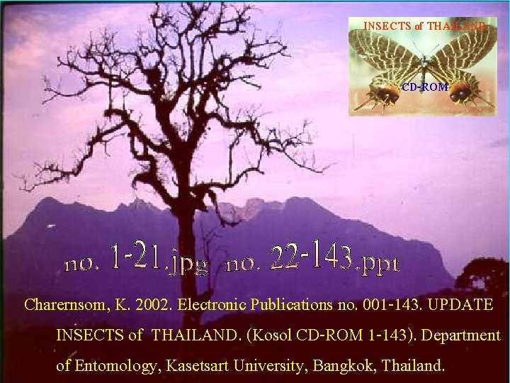 INSECTS of THAILAND in CD-ROM Charernsom, K. 2002. Electronic Publications no. 001 -143. UPDATE