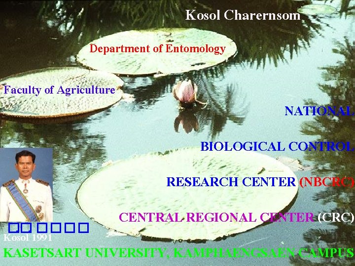 Kosol Charernsom Department of Entomology Faculty of Agriculture NATIONAL BIOLOGICAL CONTROL RESEARCH CENTER (NBCRC)