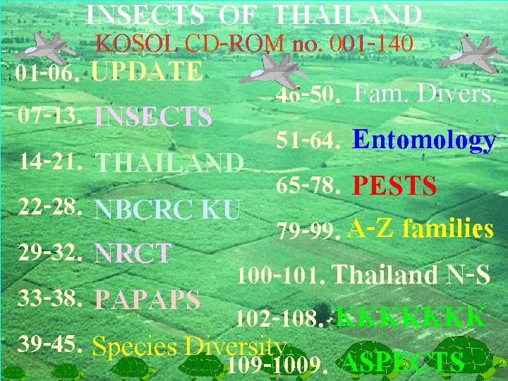 INSECTS OF THAILAND KOSOL CD-ROM no. 001 -140 01 -06. UPDATE 46 -50. Fam.