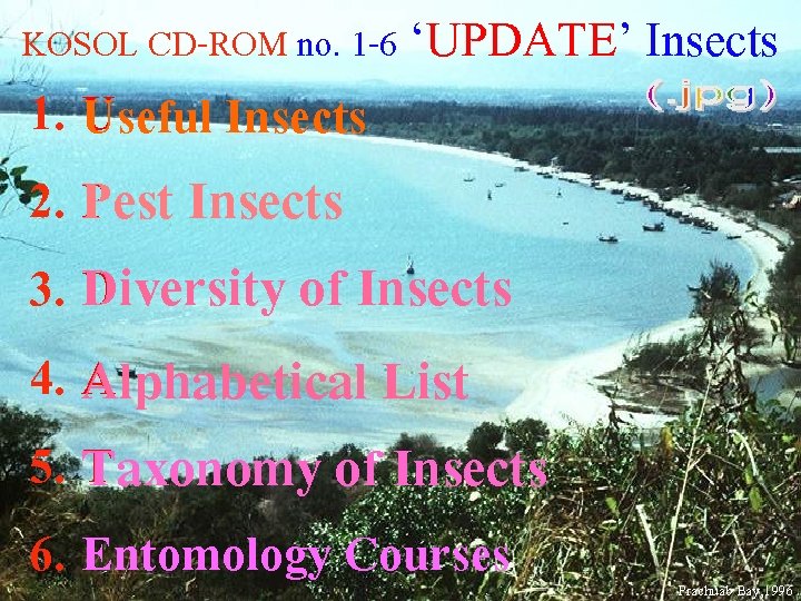 KOSOL CD-ROM no. 1 -6 ‘UPDATE’ Insects 1. UUseful Insects 2. Pest P Insects