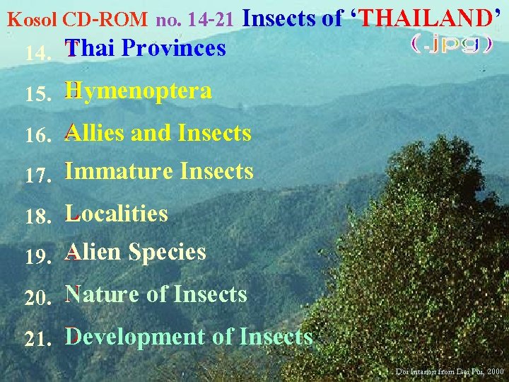 Kosol CD-ROM no. 14 -21 Insects of ‘THAILAND’ 14. 15. 16. 17. 18. 19.