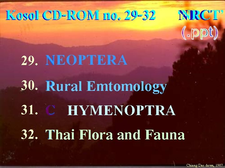Kosol CD-ROM no. 29 -32 ‘NRCT’ NRCT 29. 30. 31. 32. NEOPTERA N RRural