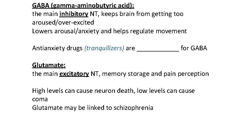 GABA (gamma-aminobutyric acid): the main inhibitory NT, keeps brain from getting too aroused/over-excited Lowers