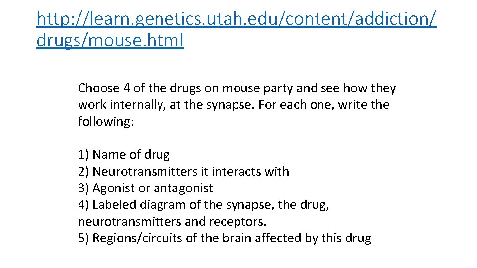 http: //learn. genetics. utah. edu/content/addiction/ drugs/mouse. html Choose 4 of the drugs on mouse