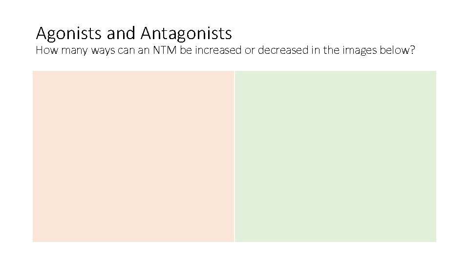 Agonists and Antagonists How many ways can an NTM be increased or decreased in