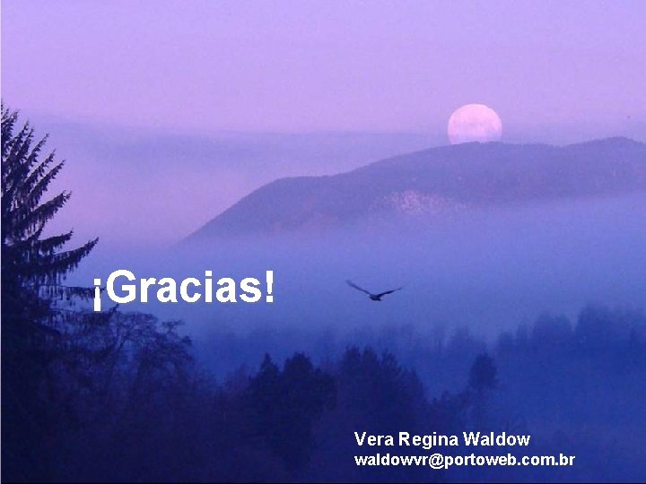 ¡Gracias! Vera Regina Waldow waldowvr@portoweb. com. br 