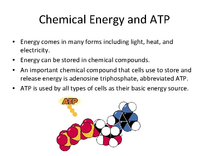 Chemical Energy and ATP • Energy comes in many forms including light, heat, and