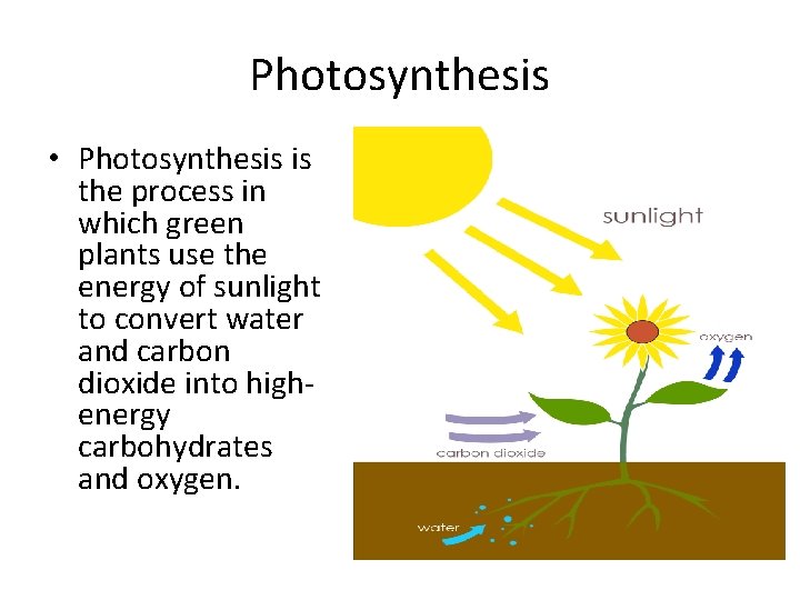 Photosynthesis • Photosynthesis is the process in which green plants use the energy of