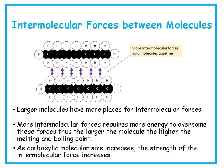 Intermolecular Forces between Molecules • Larger molecules have more places for intermolecular forces. •