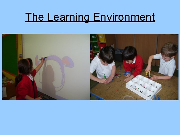 The Learning Environment 