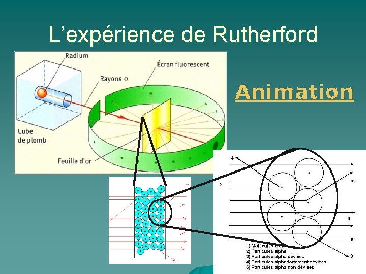 L’expérience de Rutherford Animation 