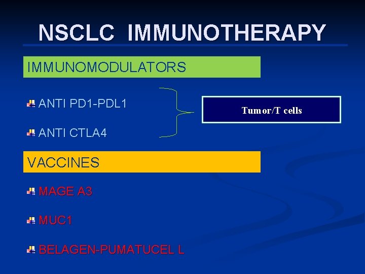 NSCLC IMMUNOTHERAPY IMMUNOMODULATORS ANTI PD 1 -PDL 1 ANTI CTLA 4 VACCINES MAGE A