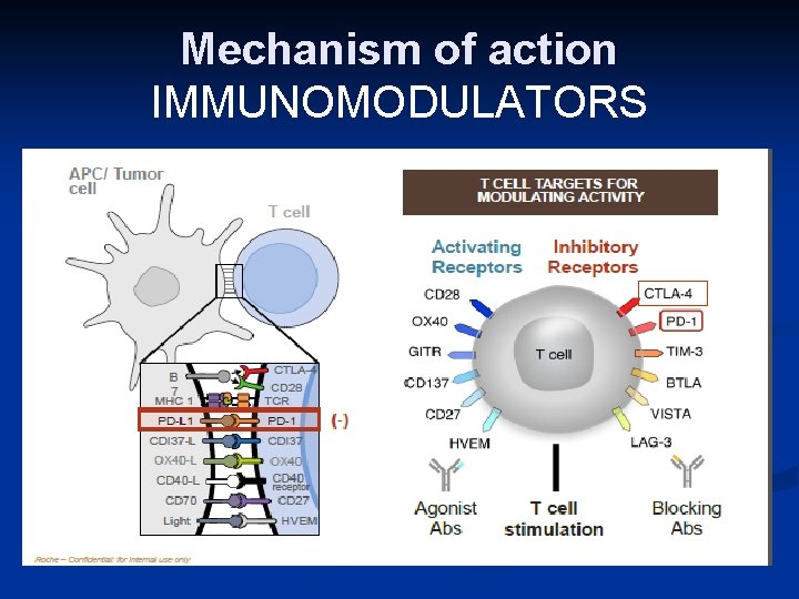 Mechanism of action IMMUNOMODULATORS 