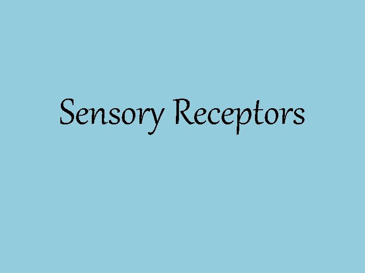 Sensory Receptors Sensory Receptors