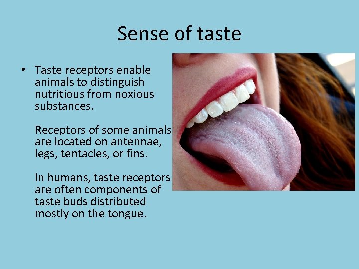 Sense of taste • Taste receptors enable animals to distinguish nutritious from noxious substances.