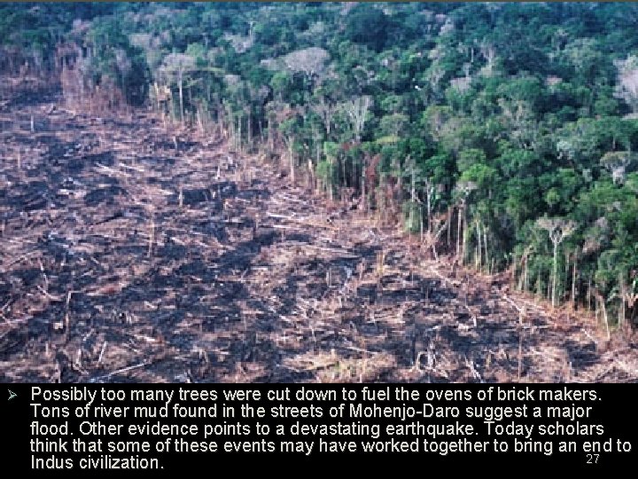 Ø Possibly too many trees were cut down to fuel the ovens of brick Ø Possibly too many trees were cut down to fuel the ovens of brick